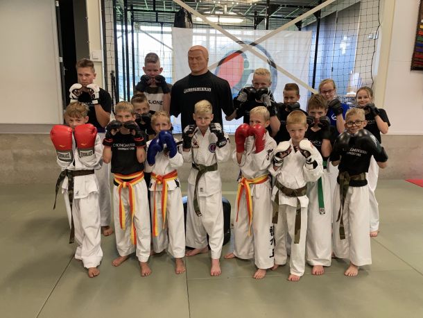 chongmukwan hapkido