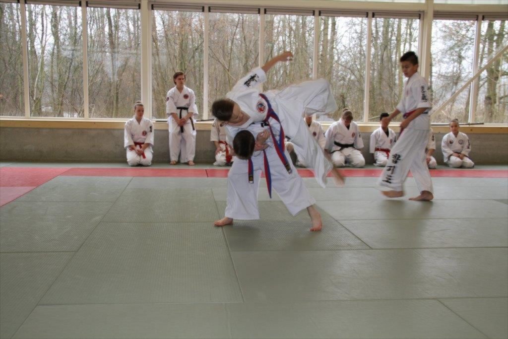 hapkido schouderworp