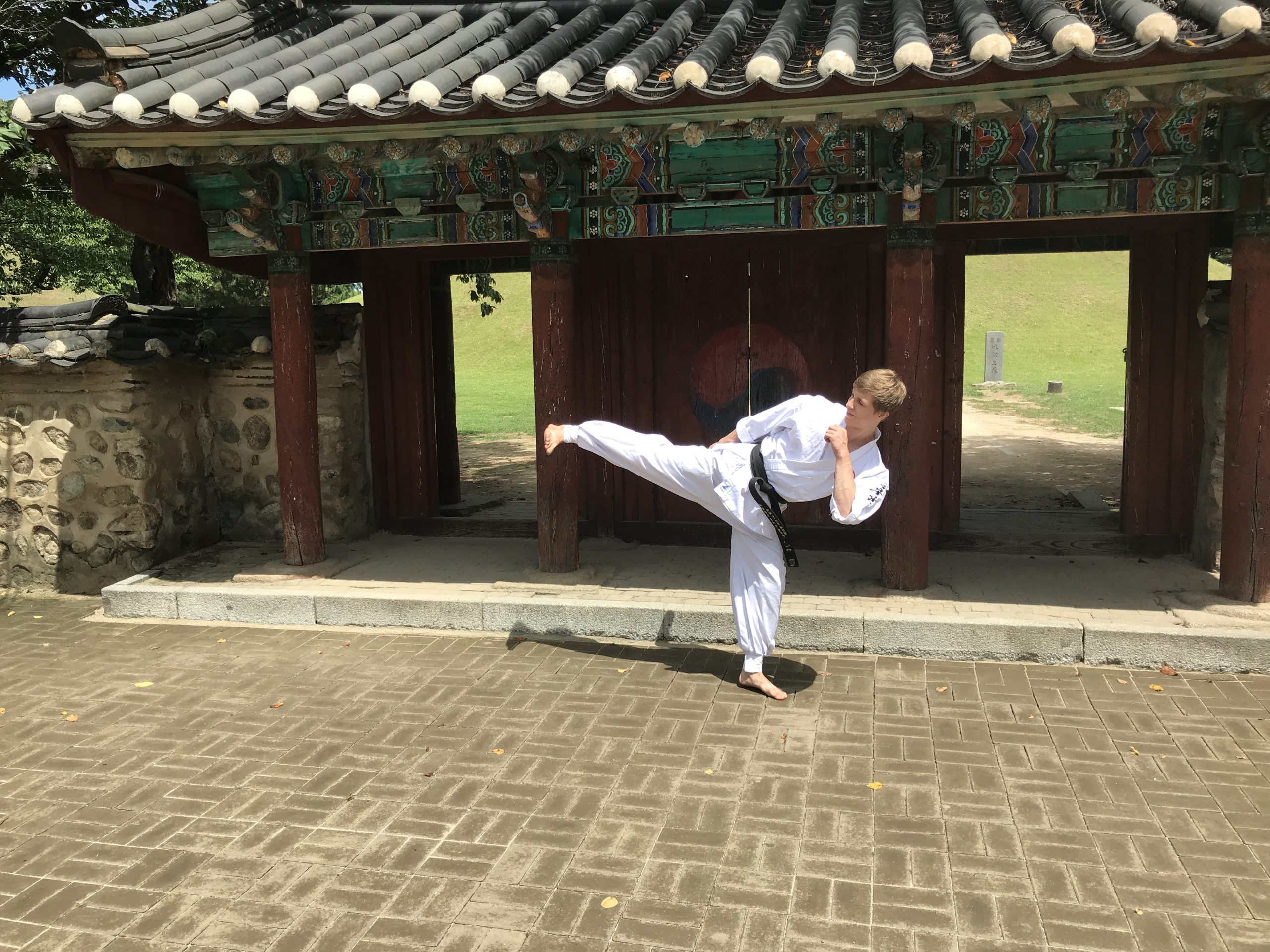 Hapkido Korea kick