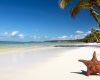 Het Urker strand ... NOT