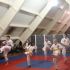 hapkido examen emmeloord 2013